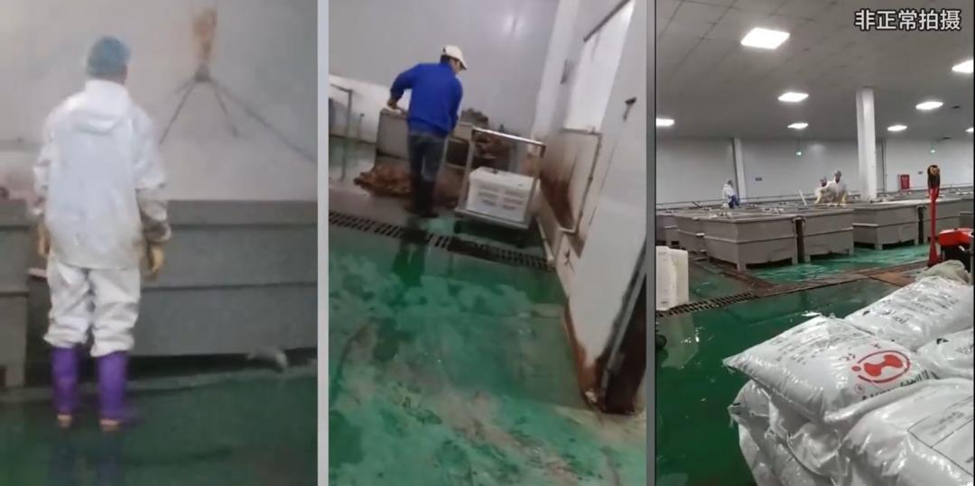 315曝光毛肚黑幕！网红带货千层肚违规，多起官方案例实锤乱象315刚过，毛肚