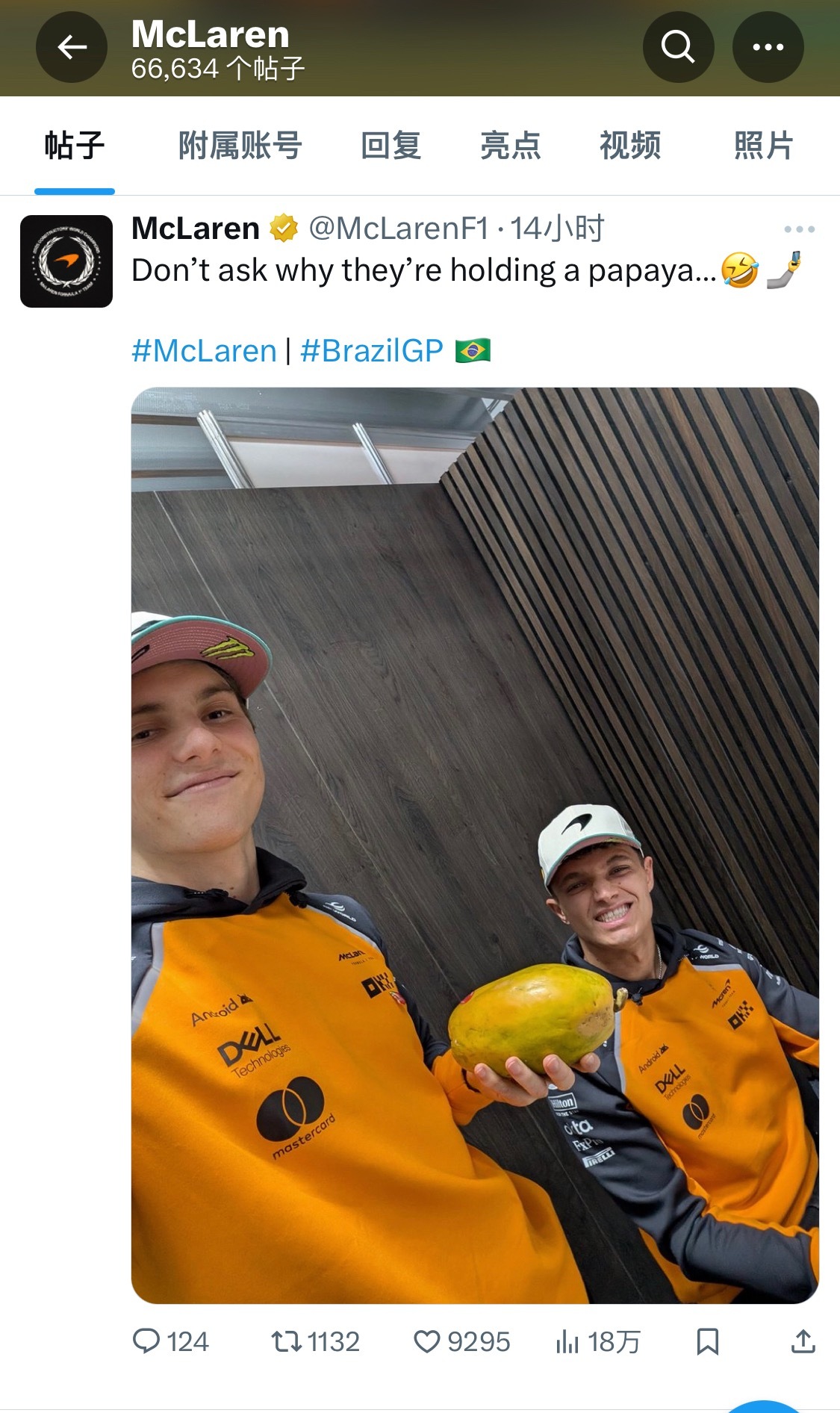 迈队:懂？我们才是真木瓜(本尊都拿来了)😂2025F1圣保罗大奖赛​​​