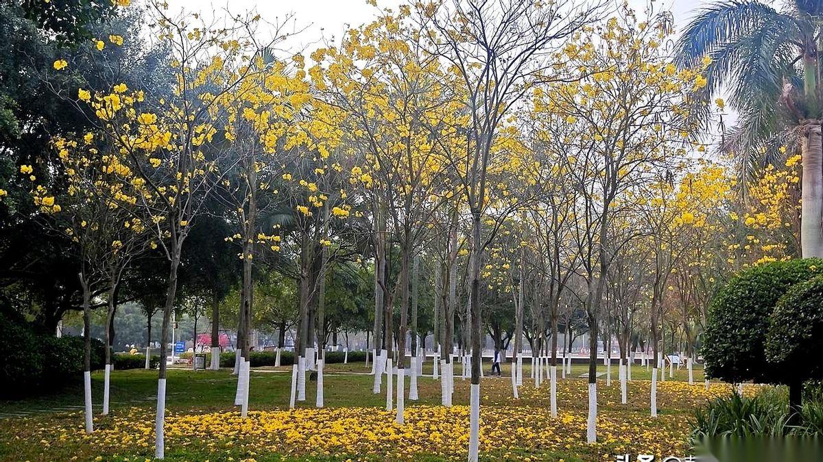 想去趟新疆，查了下机票，我人傻了。从南宁飞乌鲁木齐，一条直飞航线都没有了。一