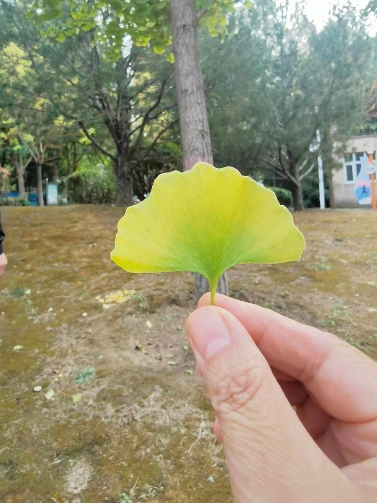 1、美国，最好的工作是？答案：律师说实话我更关心咱们自己这边。前两年身边亲戚