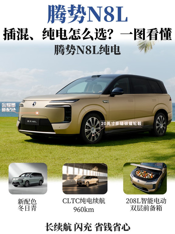 腾势N8L｜插混、纯电怎么选？一图看懂✨