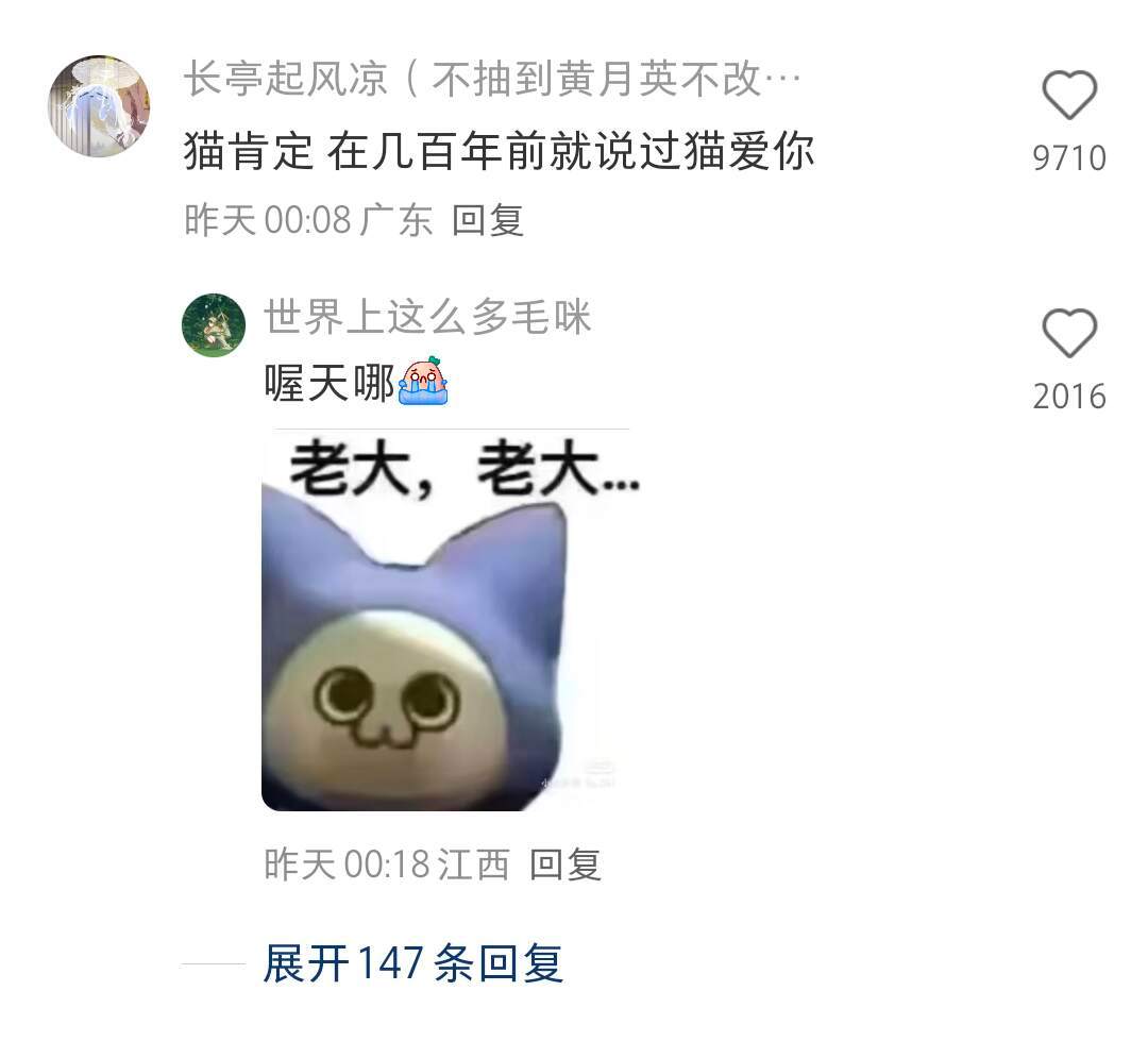 没有任何一个人可以抵抗猫猫！！！