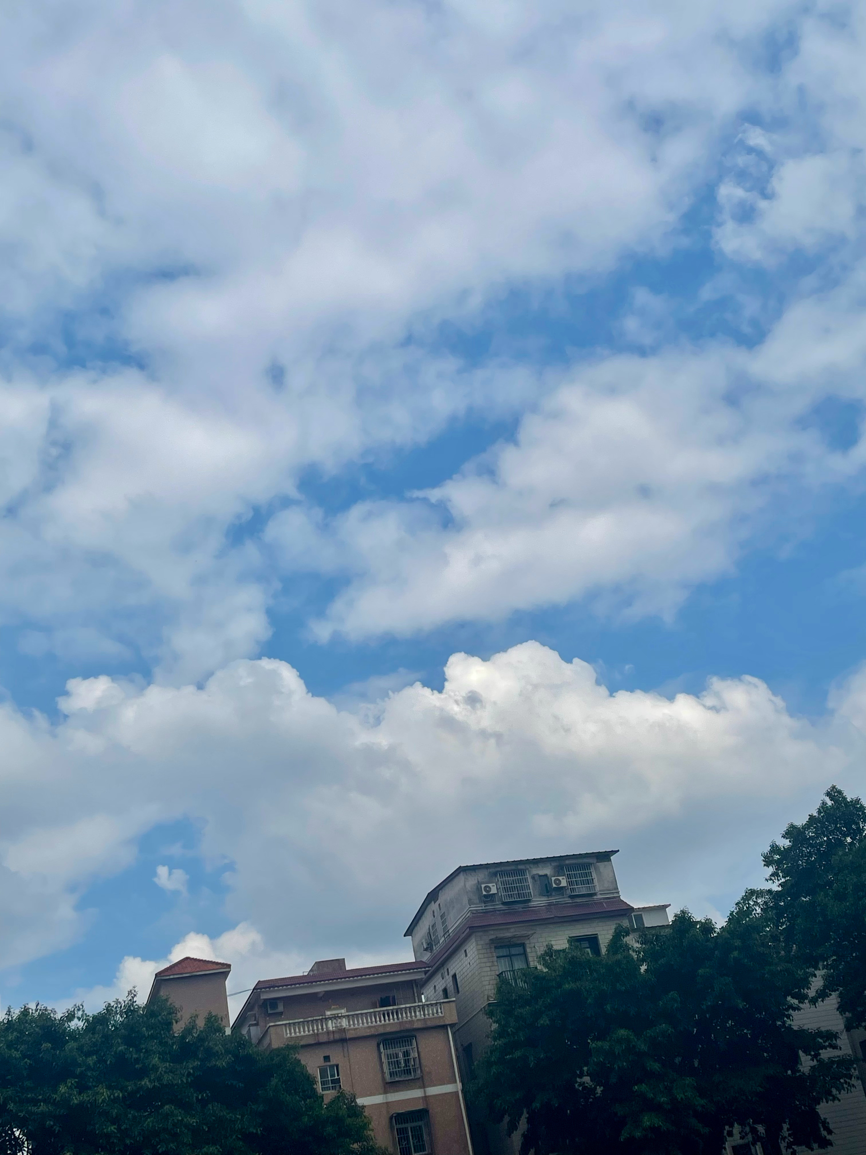 老天你耍我不。​​​