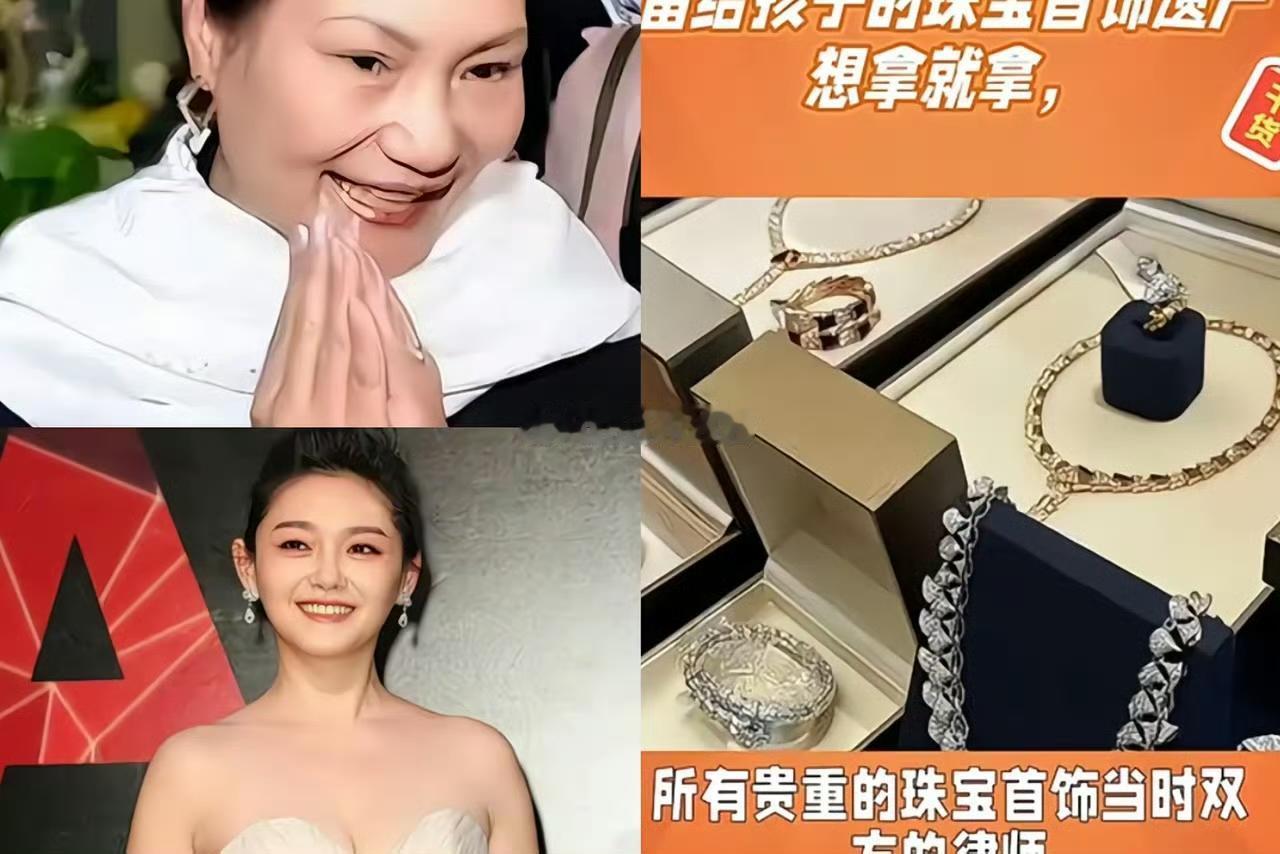 大S的东西一直都是一个谜团，没有人能解析得清楚。徐家的人，也不会对这些事情，进行