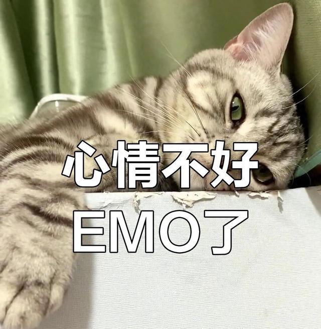 秋季失眠高发, 试试这5个助眠小办法!