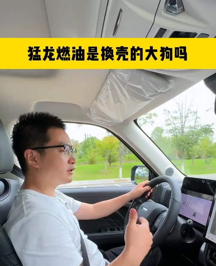 网上有人说哈弗猛龙是换壳的大狗，就是因为猛龙的动力总成跟大狗是一样的，2.0T发