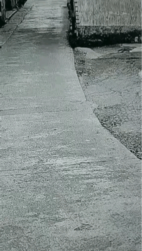 这车不走的好好的、怎么突然撞上了。[捂脸哭][捂脸哭]