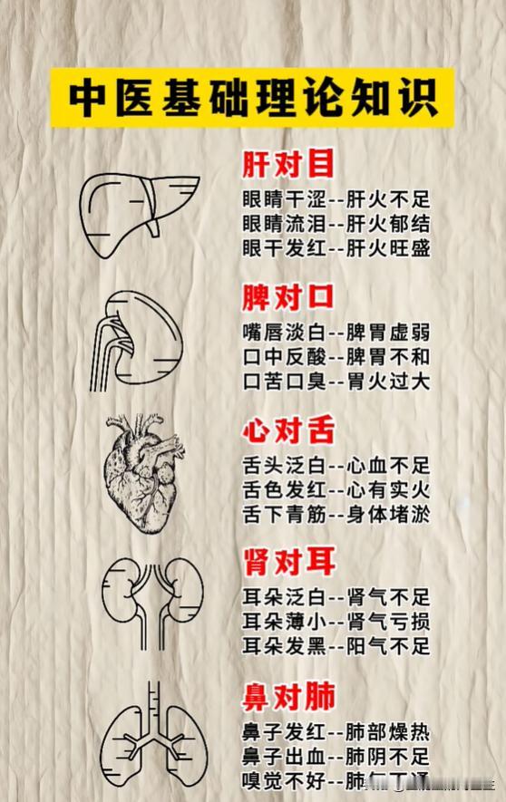 五官藏着健康信号，你都读懂了吗？