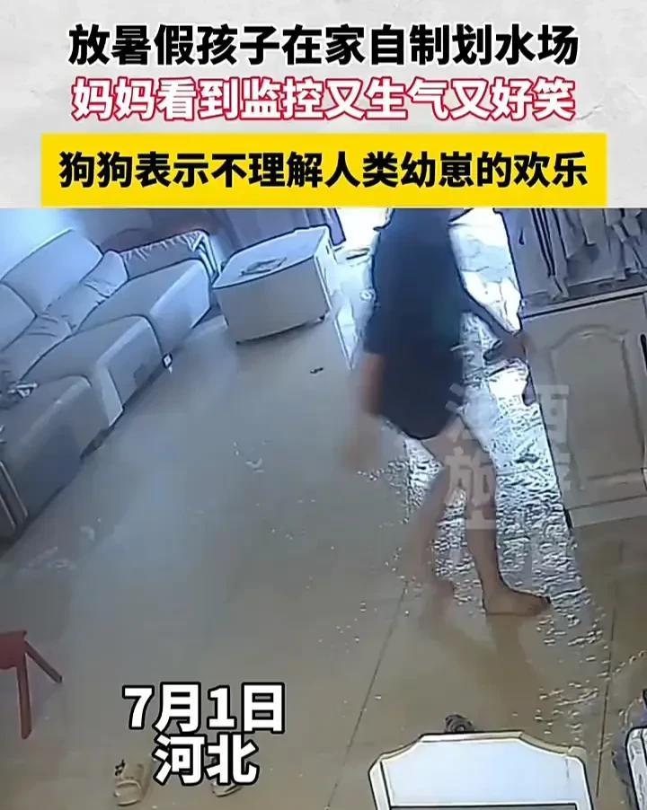 放暑假对家长来说真是太不容易了！7月1日，河北一位家长发视频称，两个孩子放暑假，