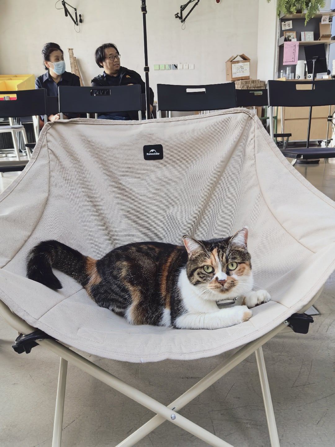 讲课最开心的状态，就是人在听，猫在睡。​​​
