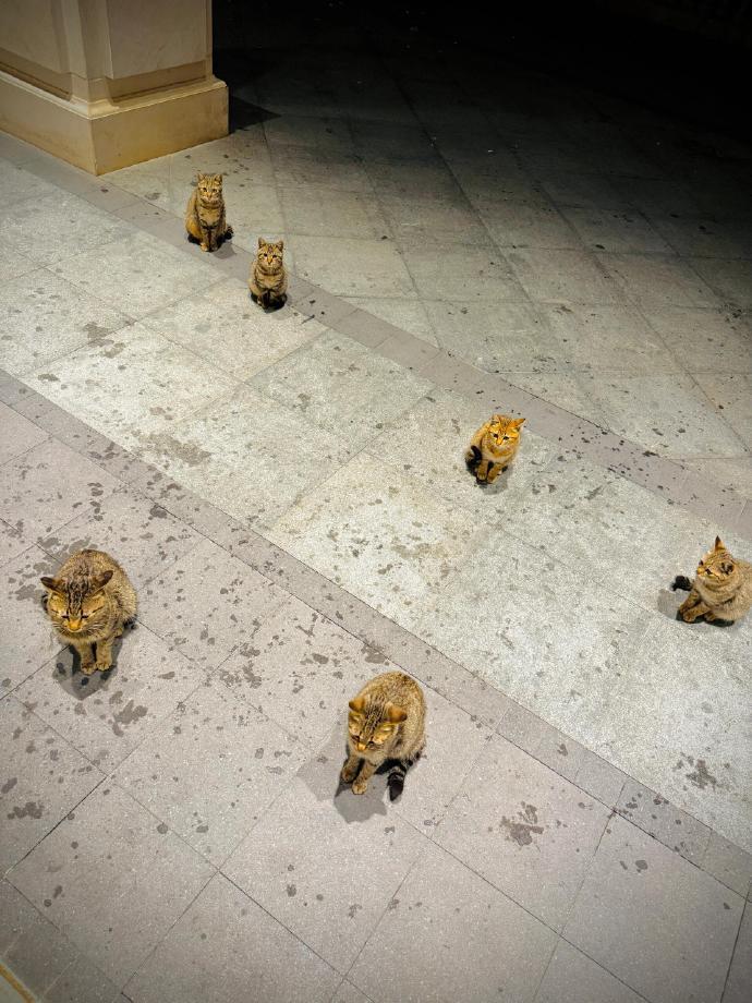 大型复制粘贴现场