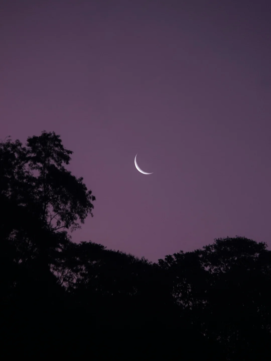 寻找同样喜欢抬头拍月亮的人🌙