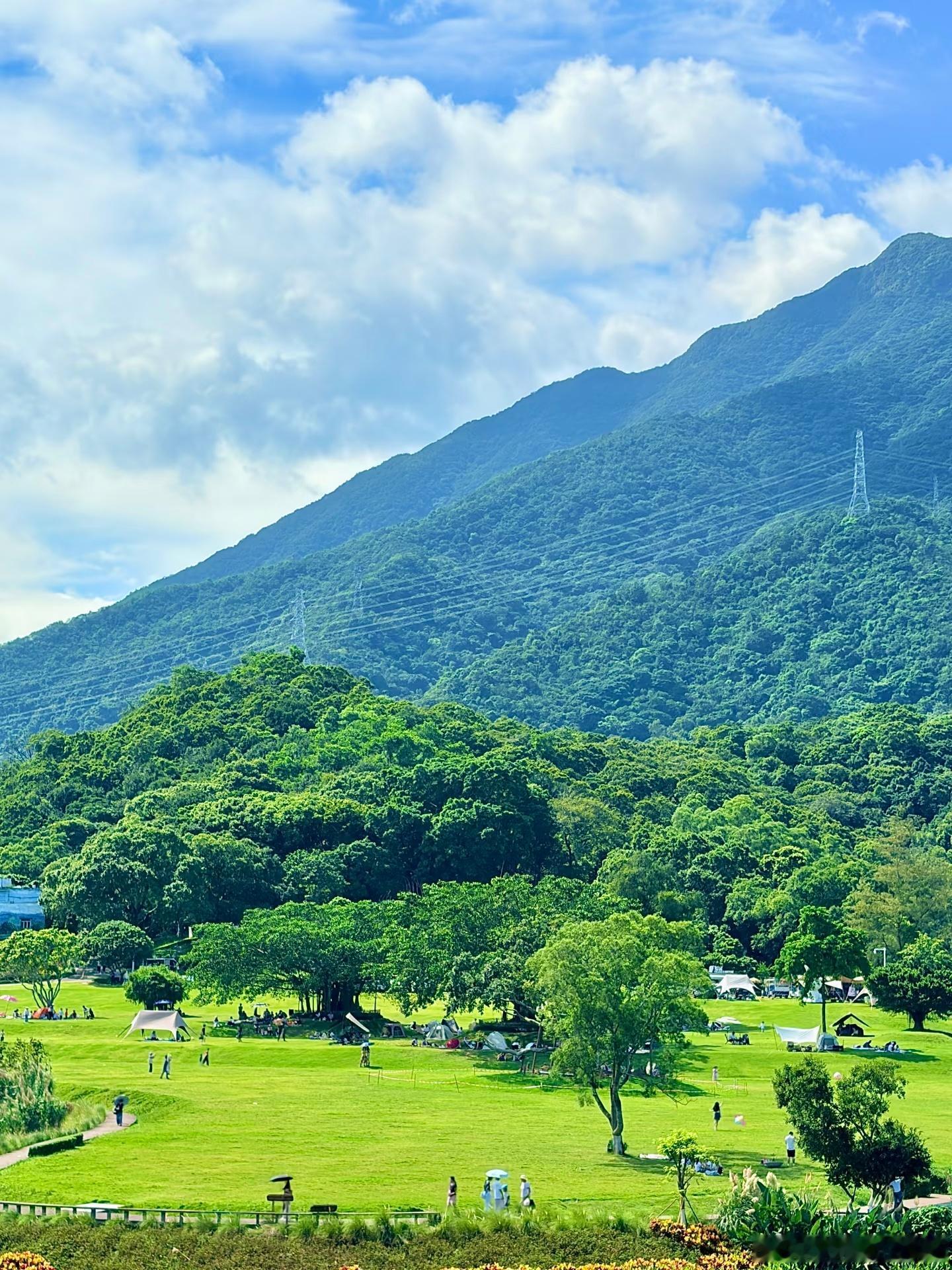 抓住假期的尾巴打卡深圳恩上湿地公园吹吹大自然的风，大口呼吸新鲜空气暂时
