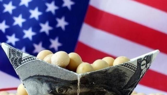 让美国人最恐惧的其实不是几粒大豆,而是整个大豆冲突中中国人的沉默态度!202