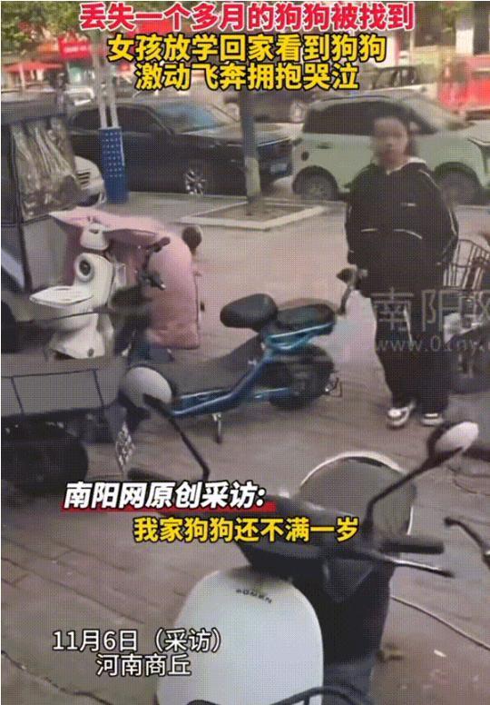 万物皆有灵性！11月6日报道，河南一个多月的狗狗突然被找到，小主人放学回家后看到