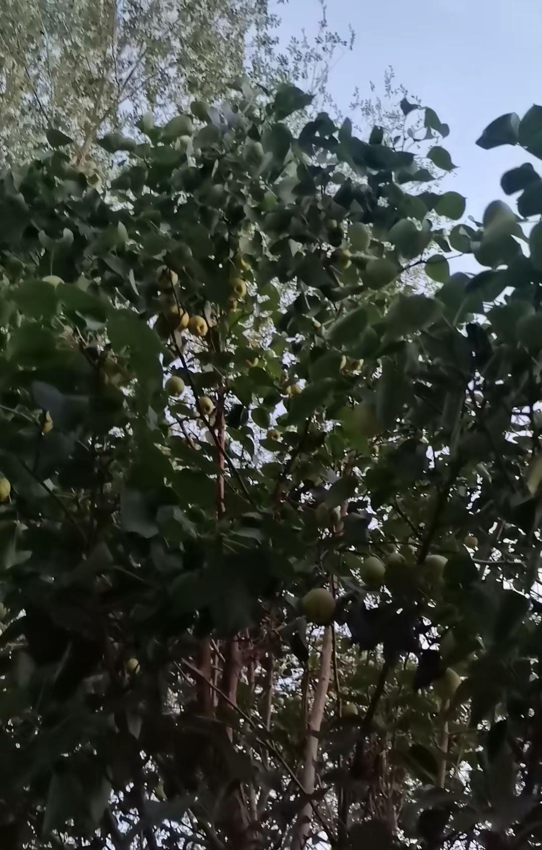 家长崩溃，只需孩子一句“他打我”五年前我也这样，现在只想穿越回去捂住自己的嘴。