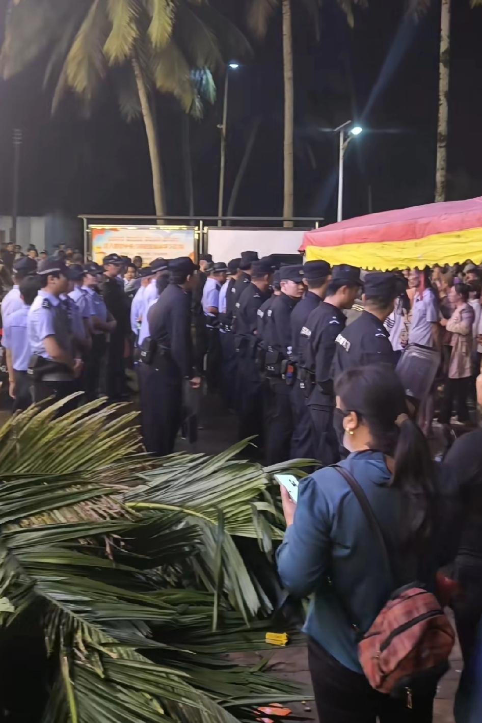 这次事情真的闹大了！凌晨连夜偷把村民的槟榔树全砍了，一个人和数千人是有区别的，从