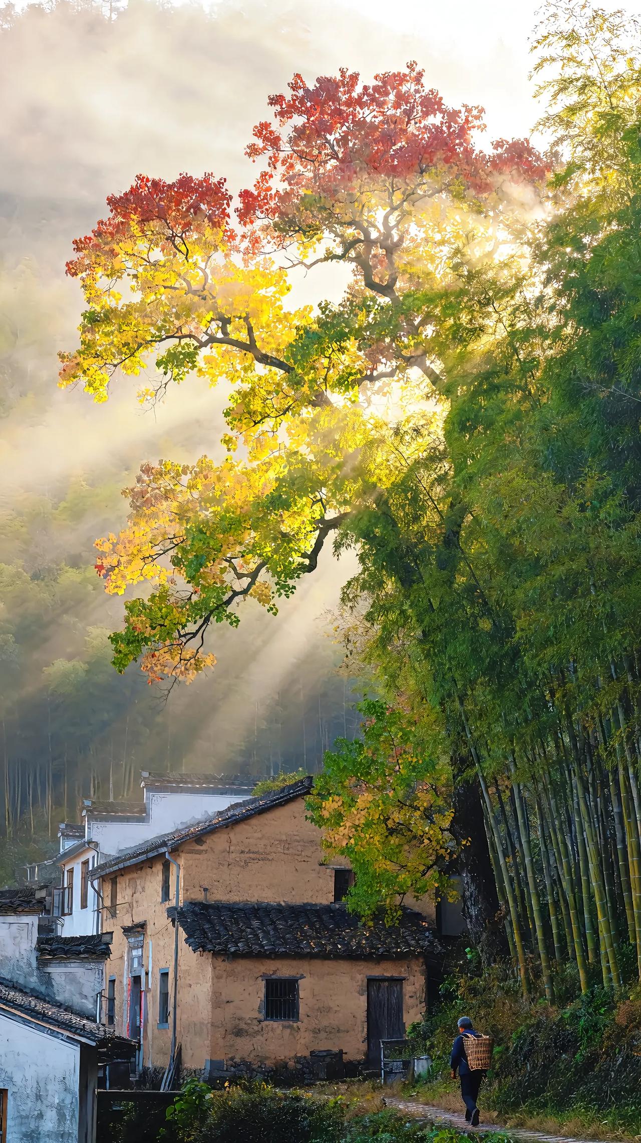 接待了一个南师附中的学生家长，能考到南师附中的孩子都是非常聪明的孩子，但是他们家