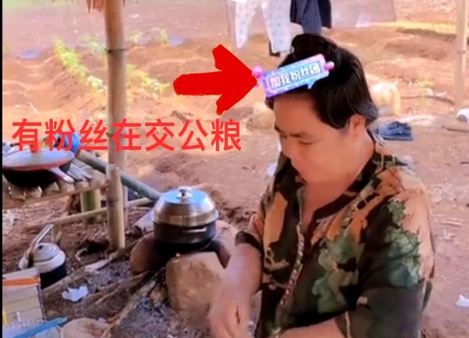 丈母娘和小姨子迫不及待地从三合院赶到咖啡地，一切都是为了流量，小诺走了，缺少流量