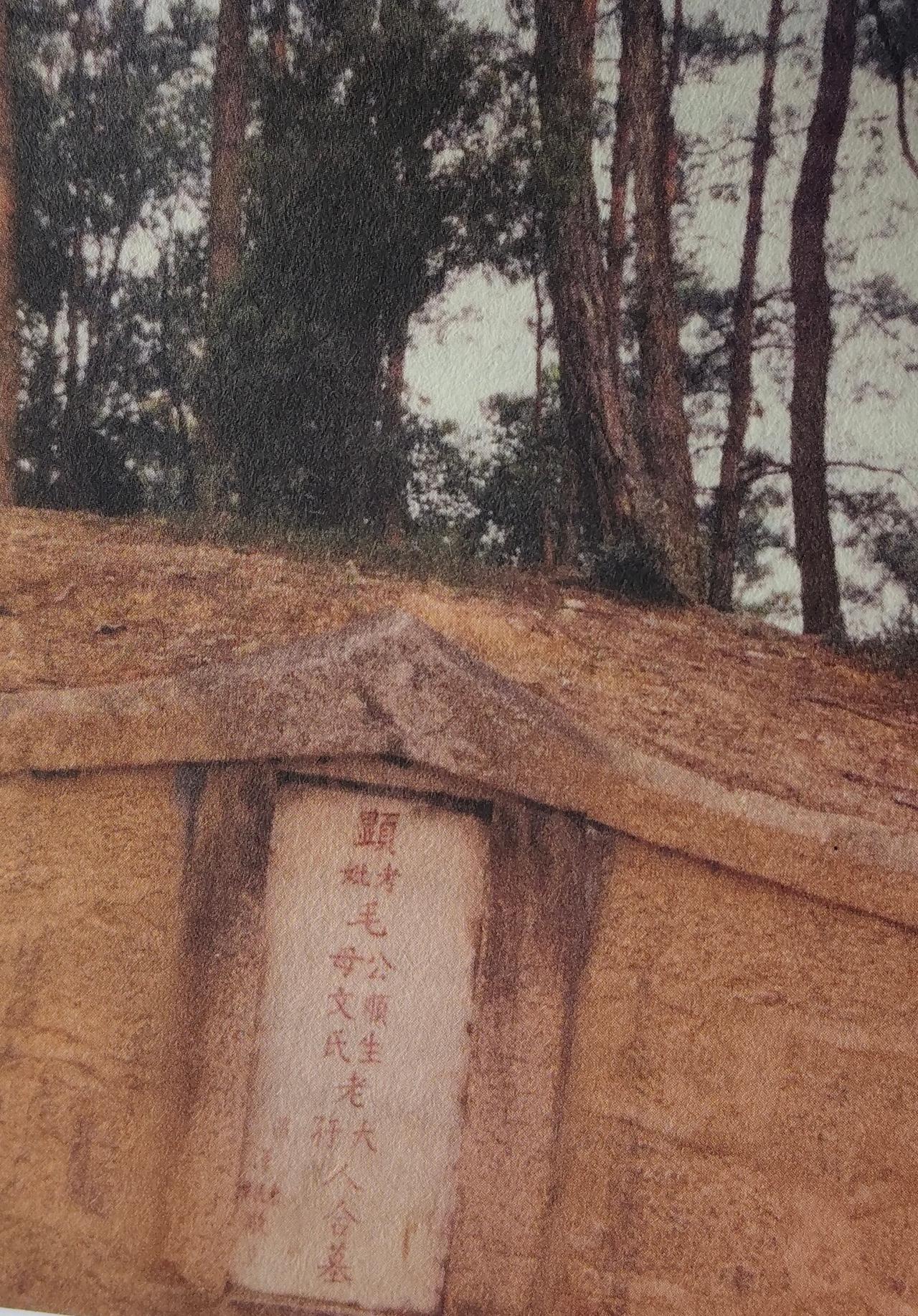 毛主席从小就想有一条路直通湘潭，可真到了修路时，他却又叫停了。这张老照片是毛