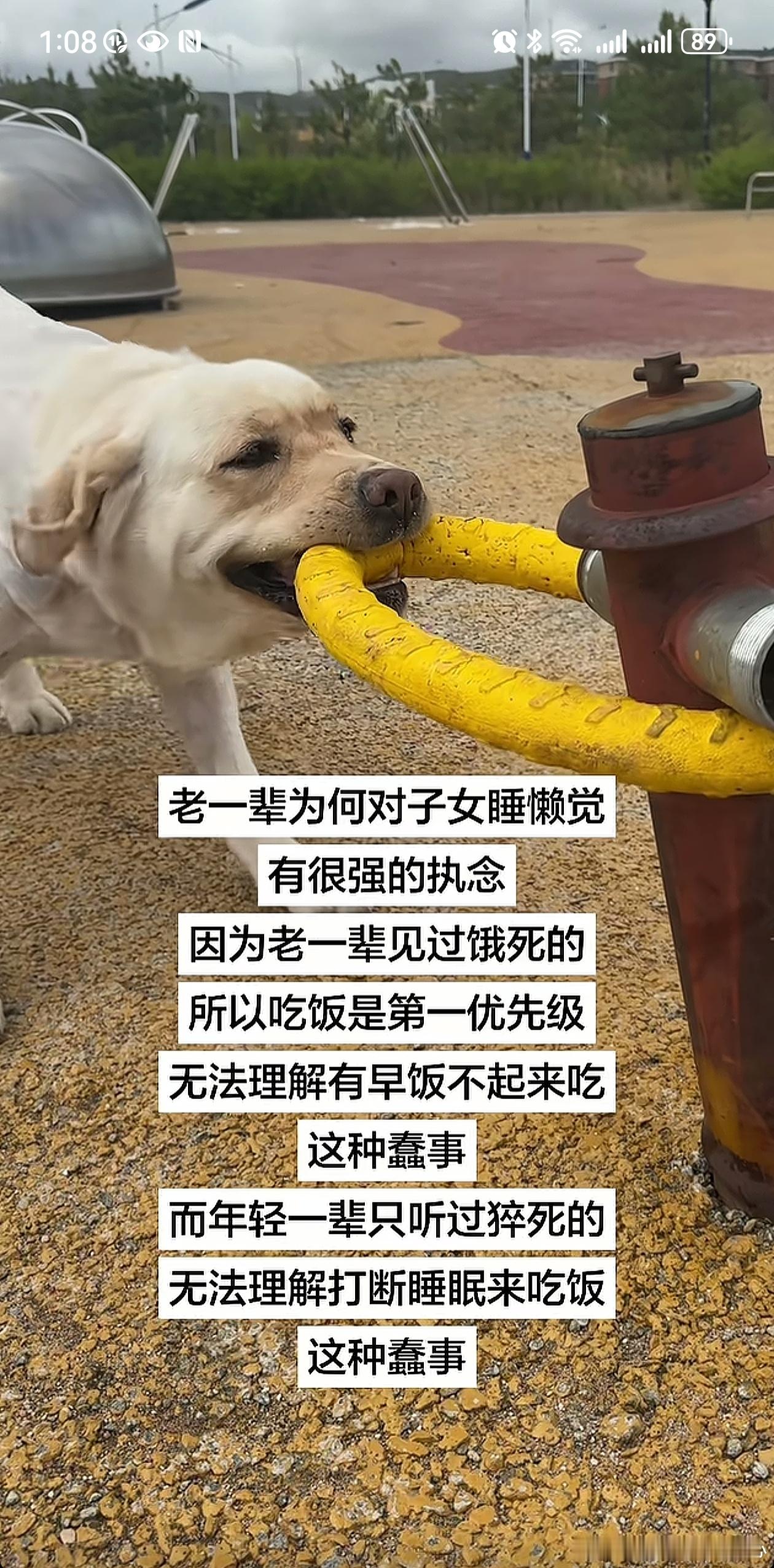 分享图片
