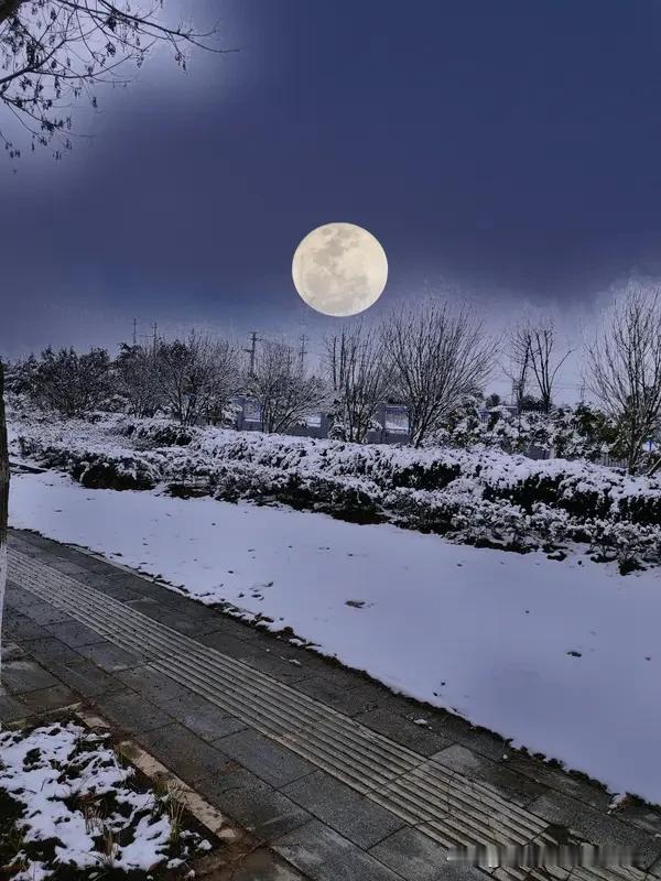 冬月念冬诗风摇木叶残，月照草堂寒。瑞雪丰年兆，明园把景观。山河蒙素色，云日