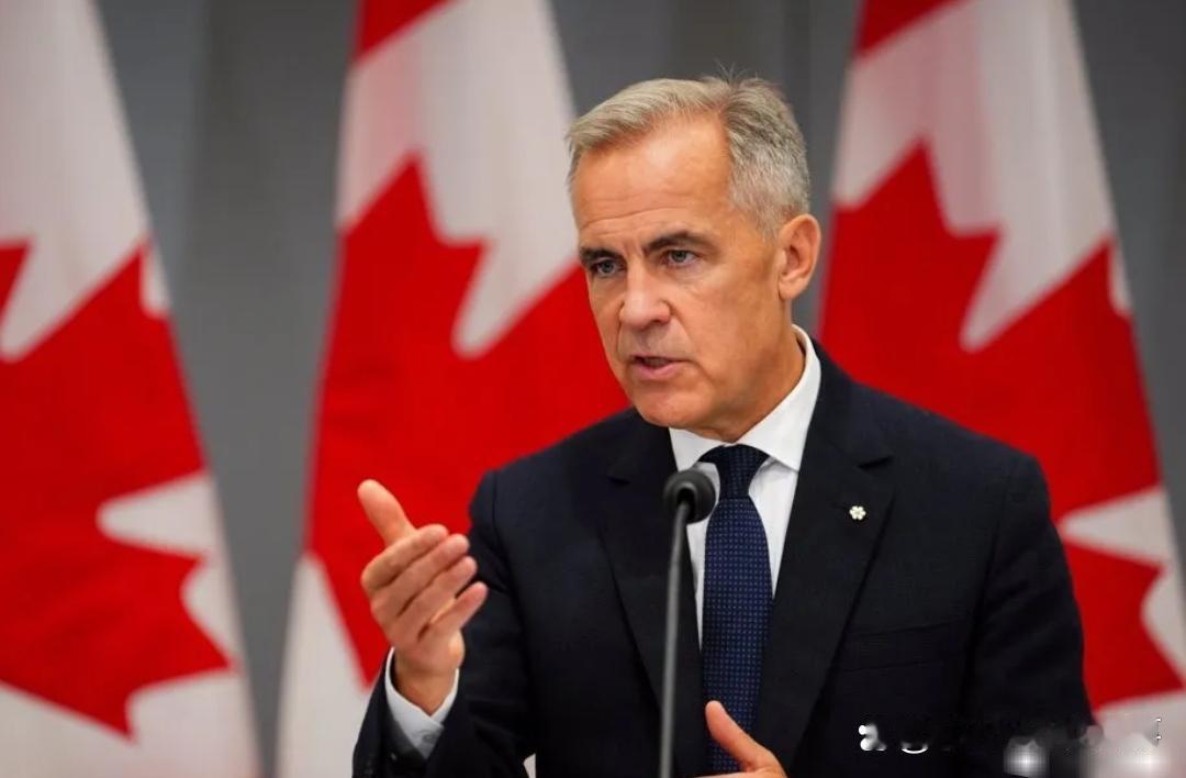 加拿大这回可真算是想明白了！几十年紧抱美国大腿的日子，眼看就要画上句号。11月7