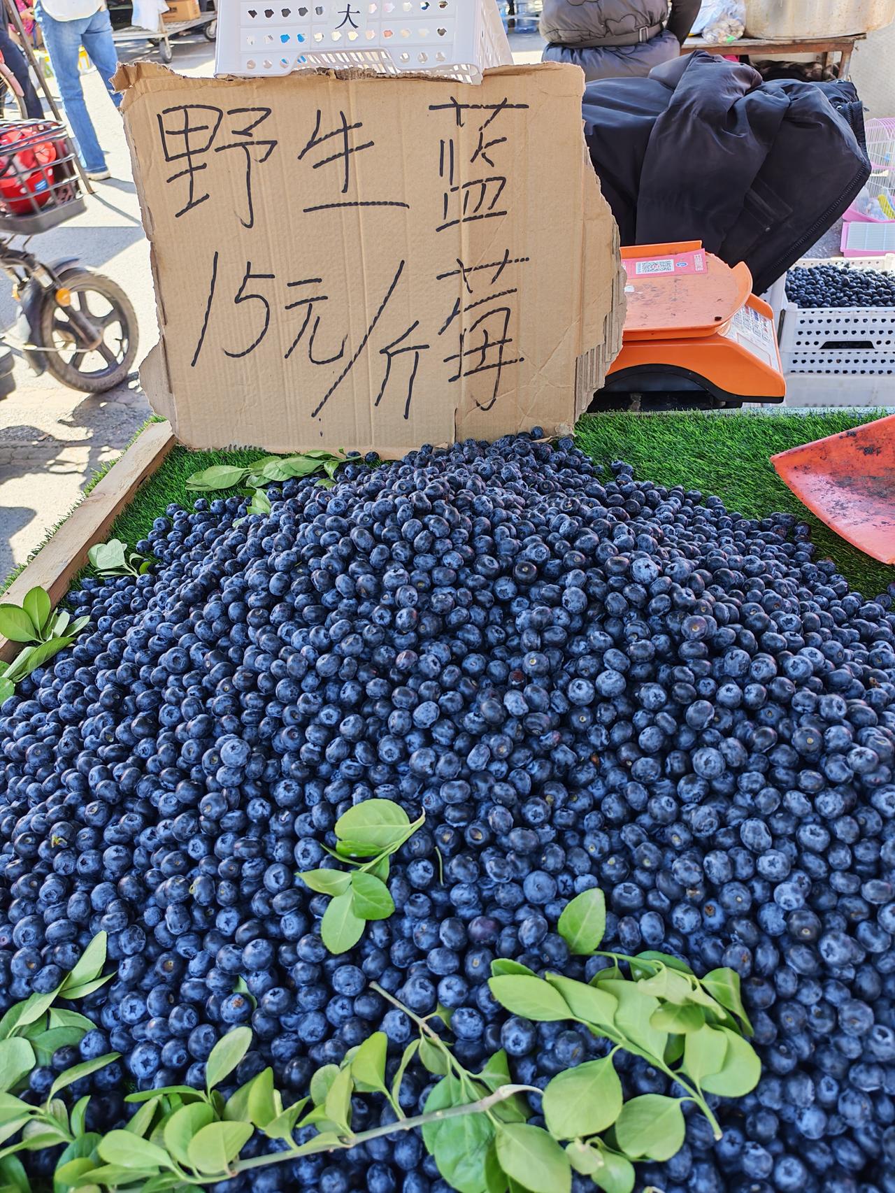 我非常爱逛菜市场。今天逛菜市场很感慨，不知什么原因这蓝莓真是便宜呀。18的，1