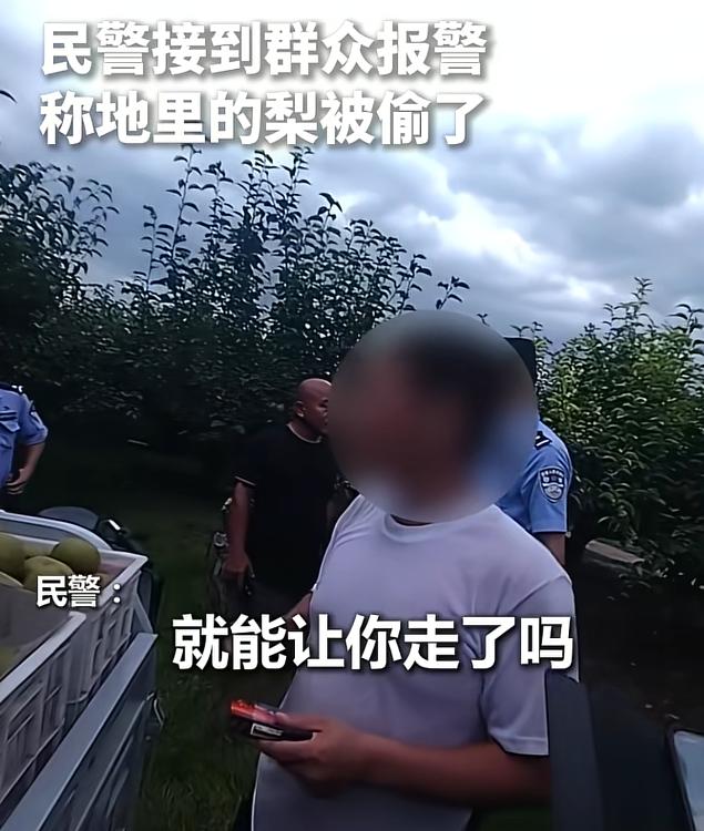 “做贼怎么还这么理直气壮！”宿州，大爷去果园溜达，竟然撞见一男的开三轮车偷水果，