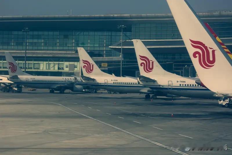 炸锅！49条中日航线全取消，咋回事？1月26日消息，2月竟有49条中日航线取消