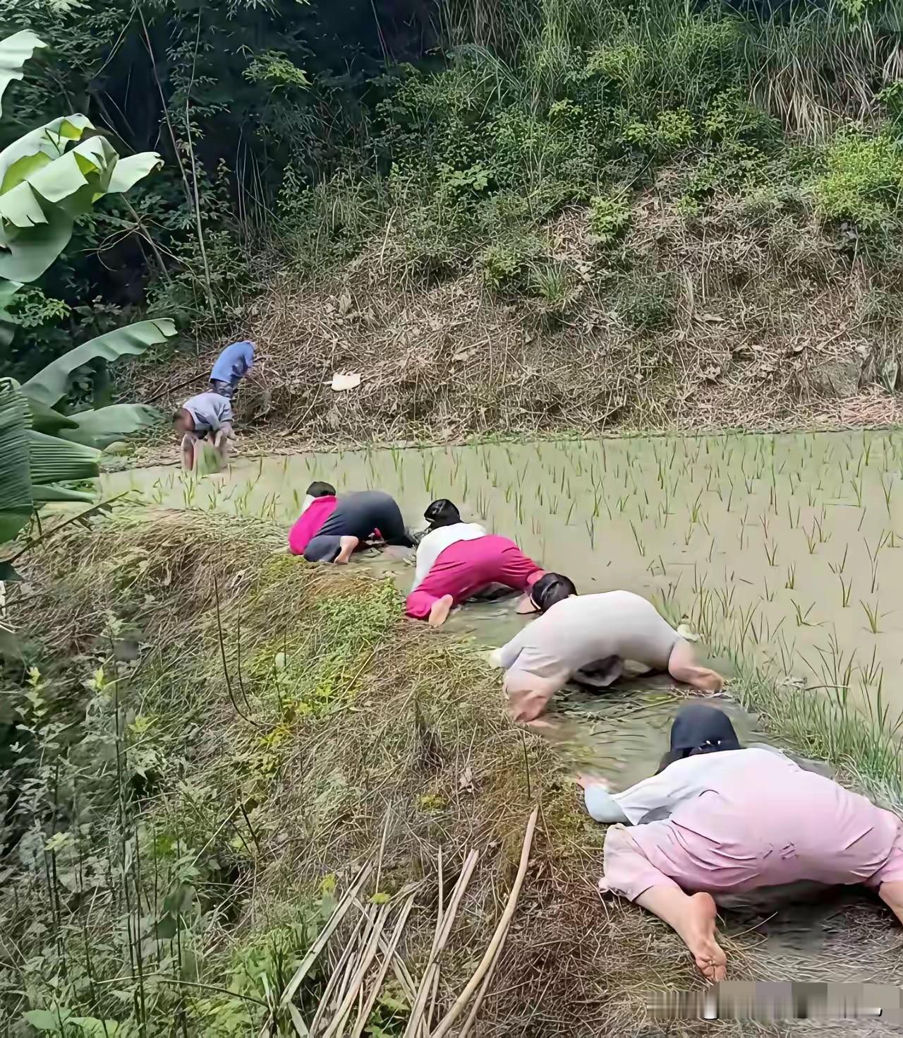 我的天呐，为了流量，她们也是够拼了！