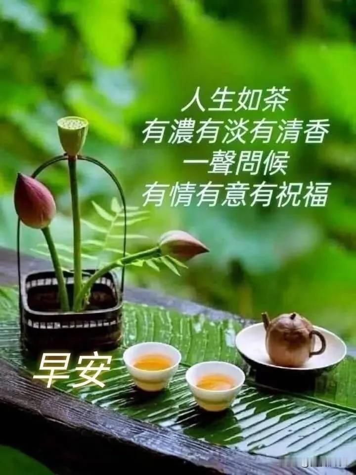 清茶一盏，荷香为伴。人生如茶，浓淡皆香，愿你晨起有喜，日日安康。早安！