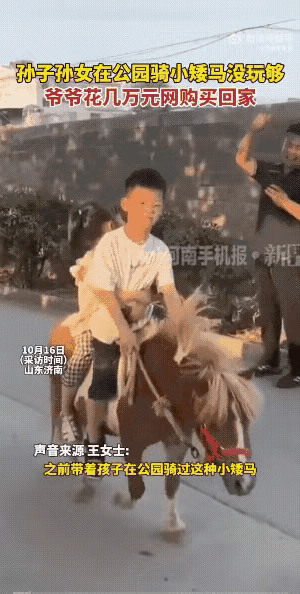 这爷爷真豪横!10月16日报道,山东,孙子孙女在公园骑小矮马玩,就几分钟收费还特