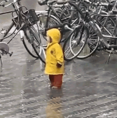 躺好咯，爱跌就跌吧，今天各位预估亏多少？