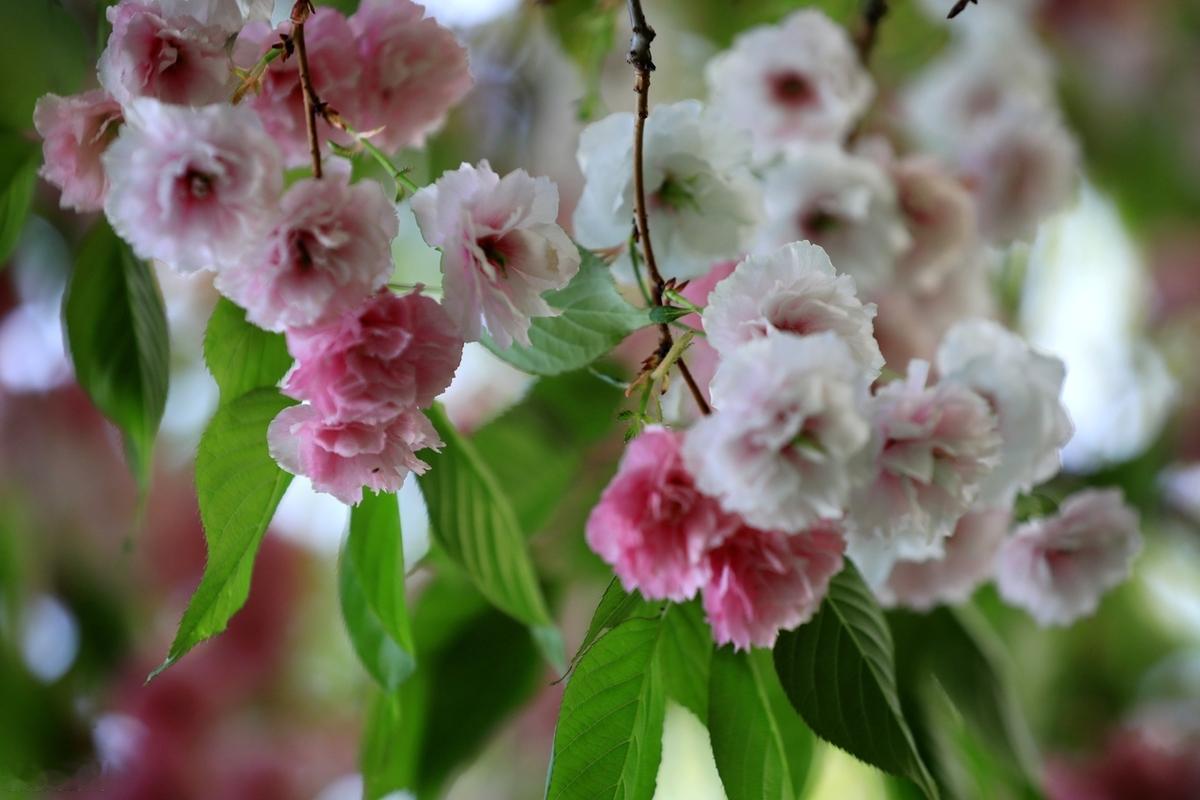 人生如梦，不必过于在意他人的评判。在这场漫长的旅程中，我们都会犯错，也会承受背叛