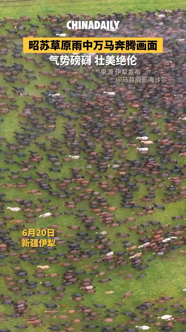 昭苏草原雨中万马奔腾画面，气势磅礴，壮美绝伦。马背摄影海沙尔。6月20日，新