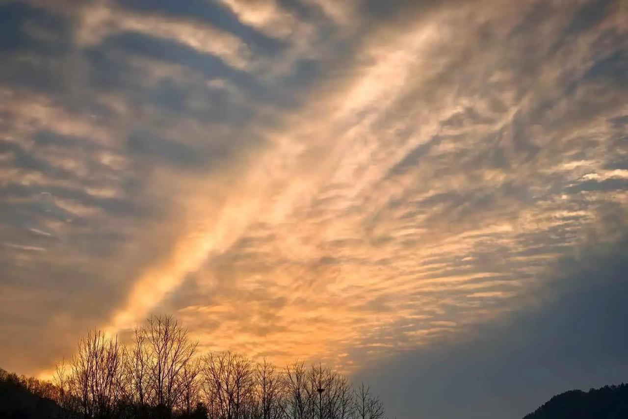 最近五大国有银行2024年年报全亮出来了，高管们税前收入基本都公开了。董事长们全