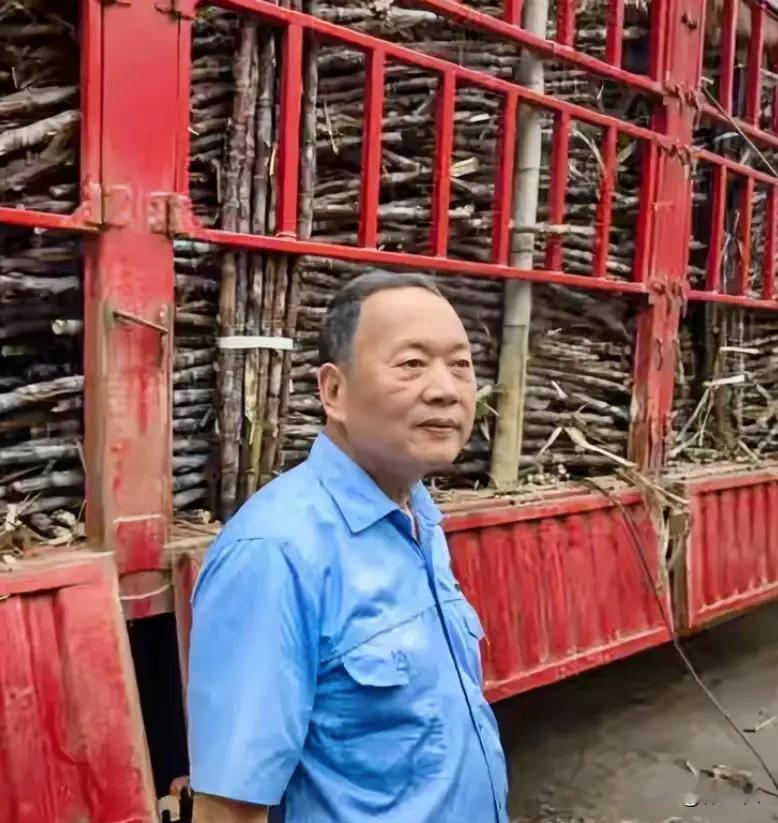 最暖糖厂董事长称压力确实大！广东茂名化州耀明糖厂董事长陈耀近期表示，糖厂因收购