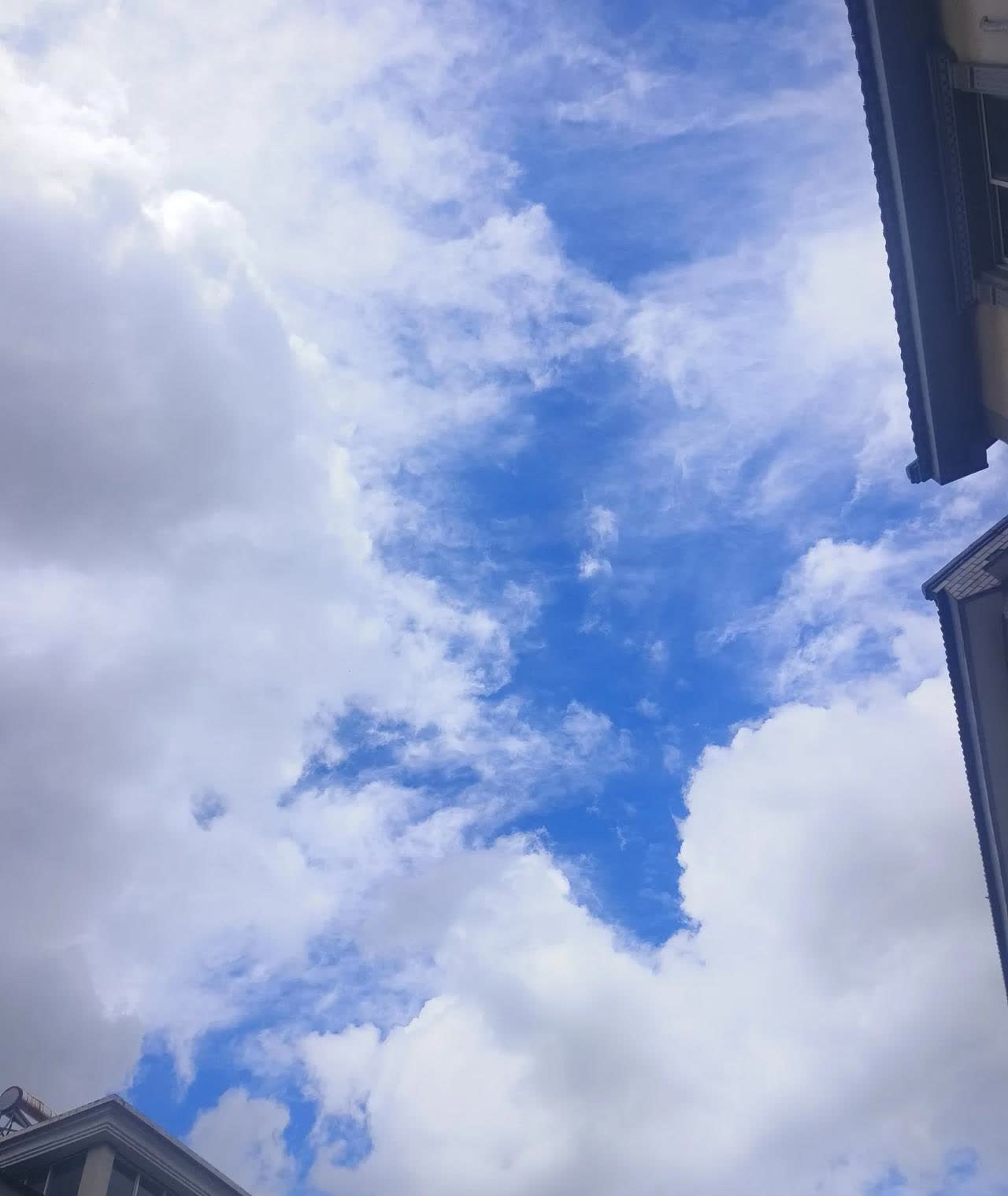 台风暴雨又要来了我看新闻说已经在浙江了马上要到江苏了这边已经暴雨一个