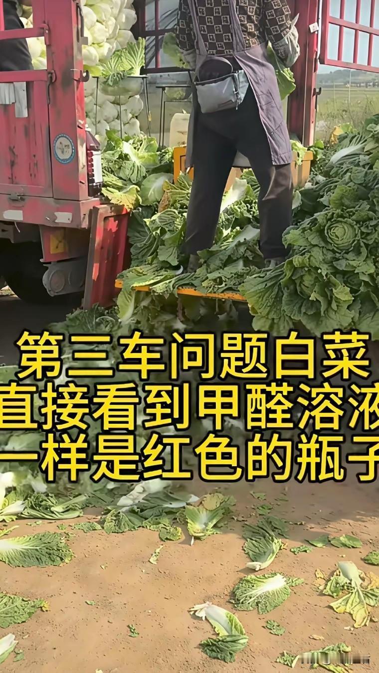 白菜农户冤？冤个屁。你家白菜根蘸没蘸药水，你在地里站着，看不见？闻不到？别跟我