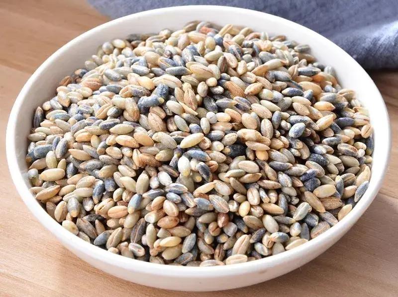 青稞是裸口感最差的粮食，没有之一。上世纪70年代，西藏地区曾尝试推广小麦种植，很