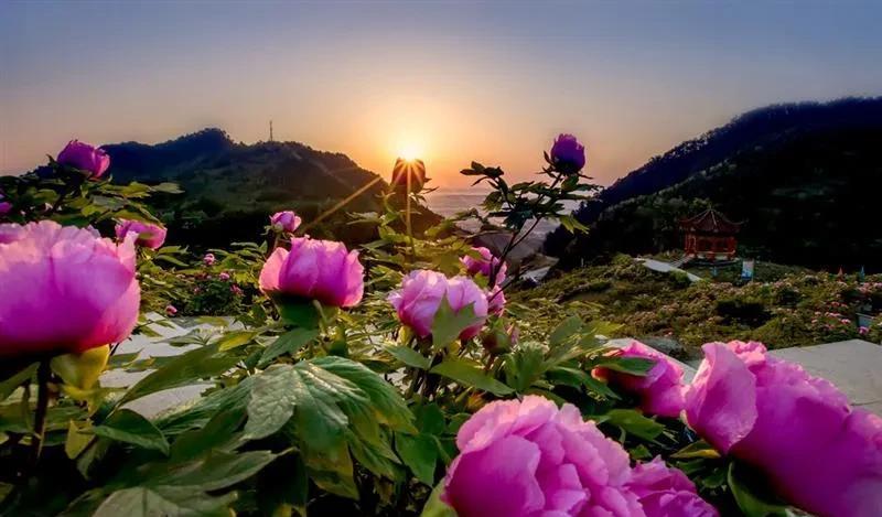 #上联：晨晖拂蕊盈香梦，诚邀下联#上联：晨晖拂蕊盈香梦，下联：暮霭临枝惹静