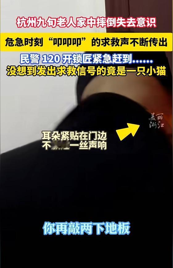 “看哭了！”近日，浙江杭州，一男子上门给老人修煤气灶，敲门却没人应声，但屋里却持