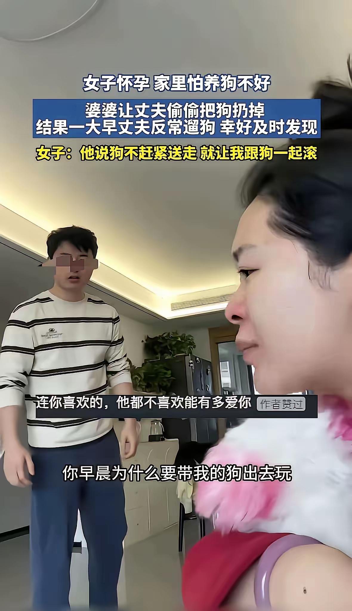 毁三观啊！女子怀孕了，丈夫和婆婆商量把女子养6年的狗狗送走，女子知道后坚决反对，
