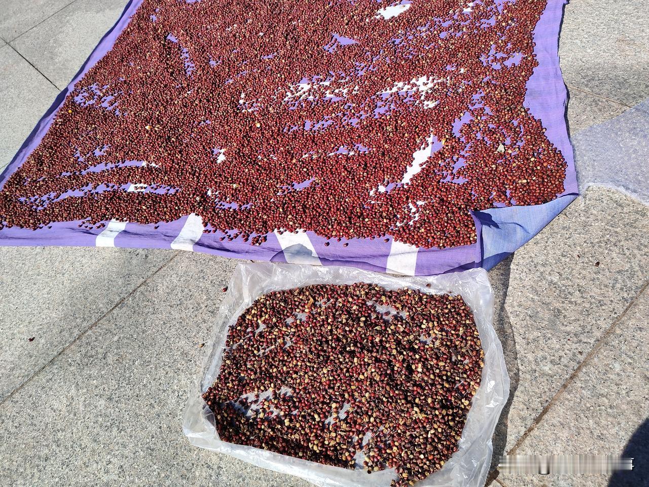 我觉得我妈非常虚伪我妈今年68岁，她嘴上说着什么都不需要，什么礼品都别拿，钱也