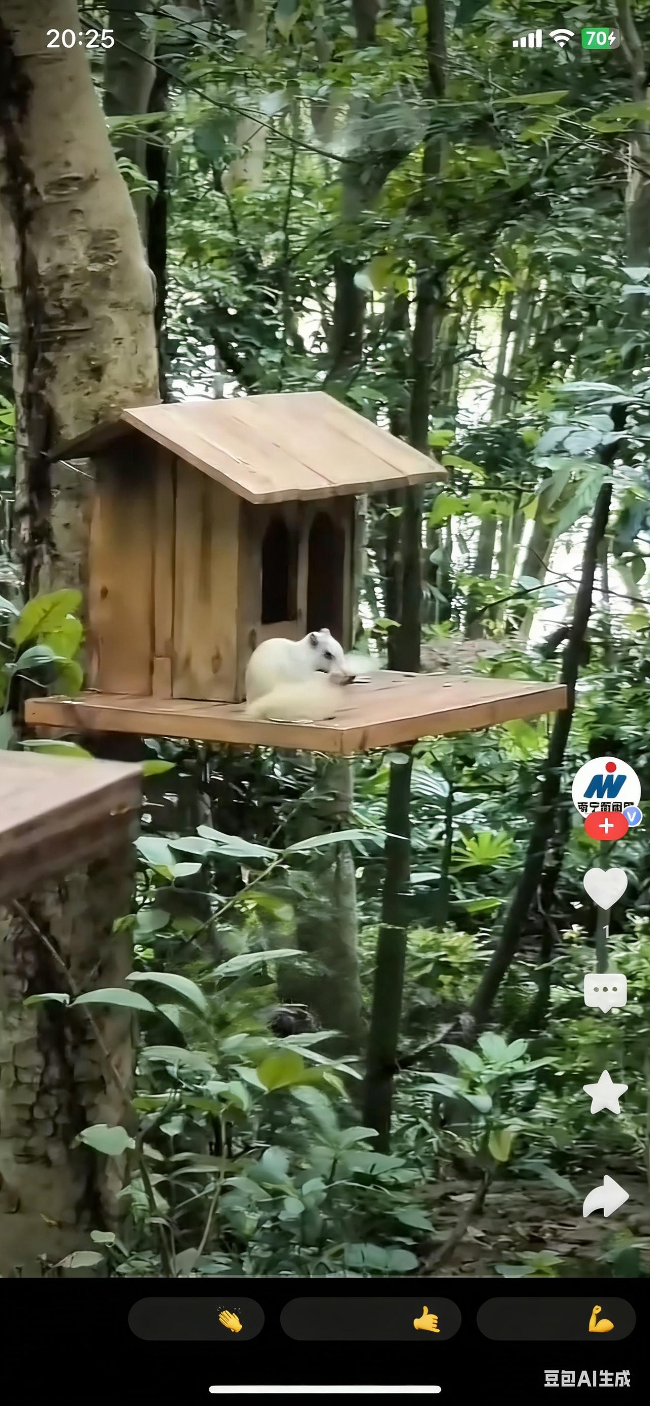 百万分之一的奇遇！南宁石门公园惊现“白色精灵”，刷爆朋友圈谁能想到，在南宁石