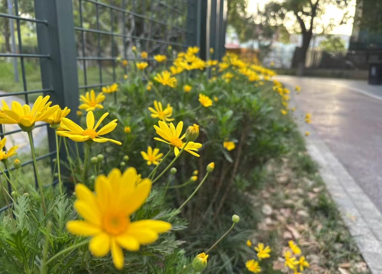 大件快递明明可以直接送货上门到需要的那一个地点的。现在快递员都会提前打电