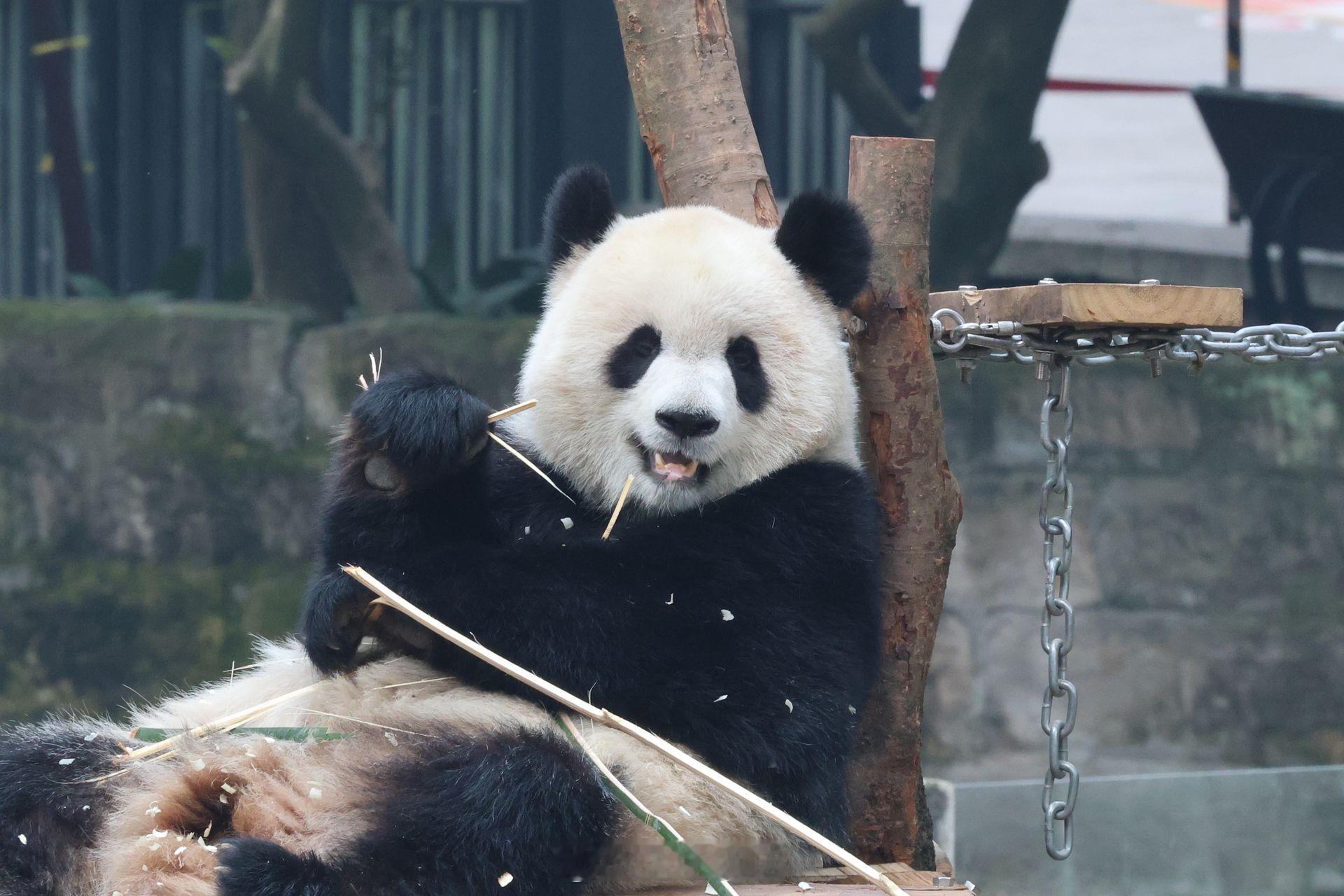 每款笑容都不一样的爱姐