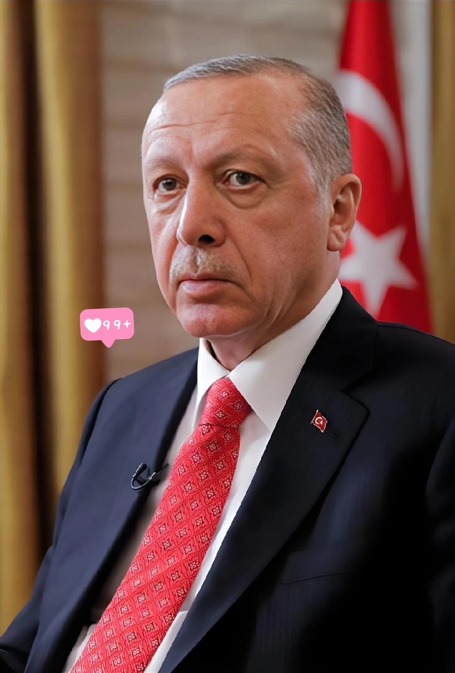 据环球时报报道！2025年12月31日，土耳其总统埃尔多安通过《官方公报》正式
