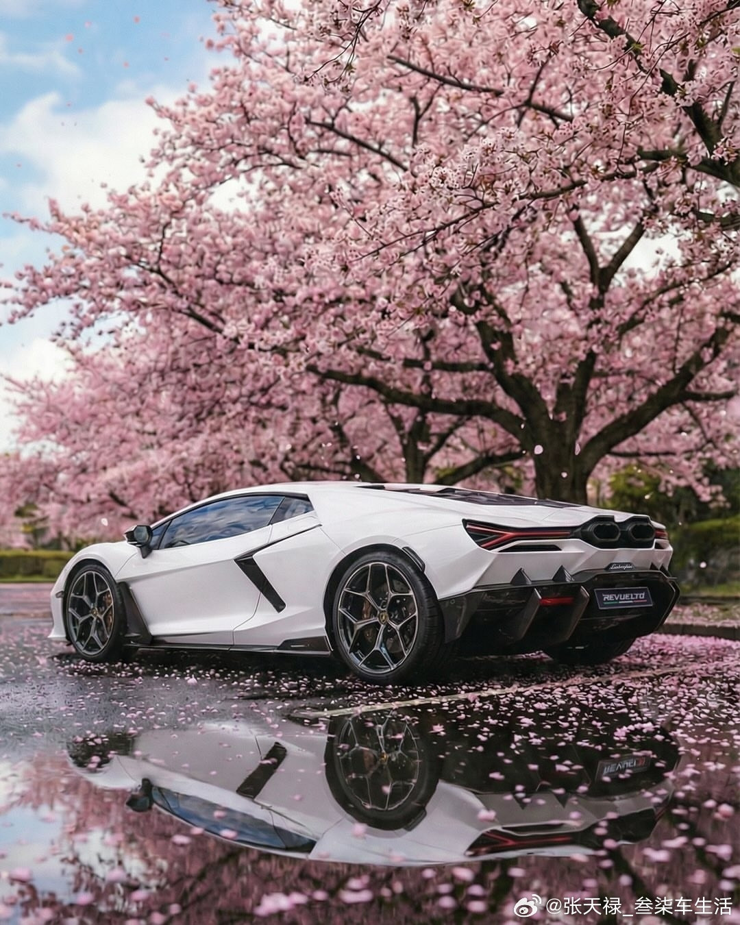 白色大牛&樱花粉🌸兰博基尼超跑
